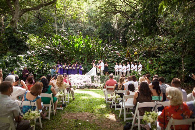 весілля в лісі